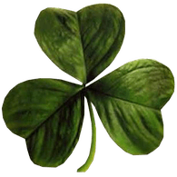 JETEL emblem