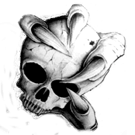 SS-RT emblem
