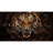 Z_B-L emblem