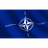 N_A_T emblem