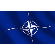 N_A_T emblem