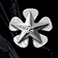 REMOV emblem