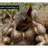 BUM83 emblem