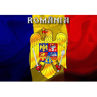 RO3GT emblem