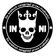 1N-N1 emblem