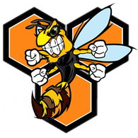 ST1NG emblem