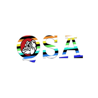 QSA emblem