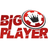 IBIGI emblem