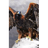 YOPO emblem