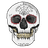 IICIX emblem