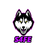 S4FE emblem