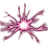 FSTAT emblem