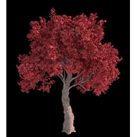 _YA3_ emblem
