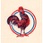 R_C_S emblem
