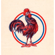 R_C_S emblem