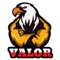 V4L0R emblem