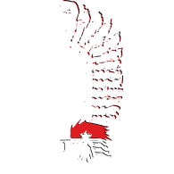 WOG emblem