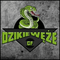 JTFC emblem