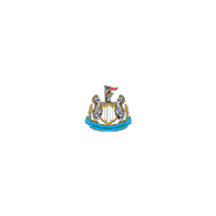 NU_FC emblem