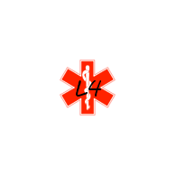 L4 emblem