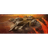 1-NAC emblem