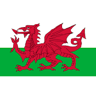 TAFIA emblem