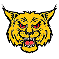 D0ST emblem