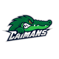 CAIMN emblem