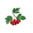 _KLN_ emblem