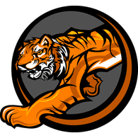 -CST_ emblem