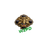 WZPD emblem