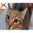 WW2_ emblem