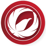 1-PL emblem
