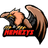 _NES_ emblem