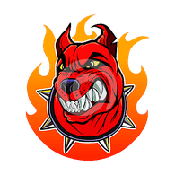 CAN3S emblem