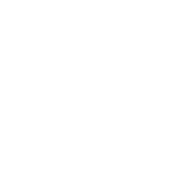 298 emblem