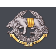 CCO99 emblem