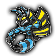 LA-IR emblem