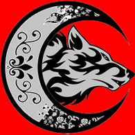 VAT4N emblem