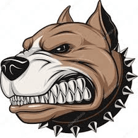 LCES emblem