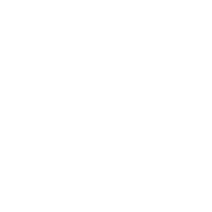 TASSS emblem
