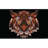 CSTY emblem