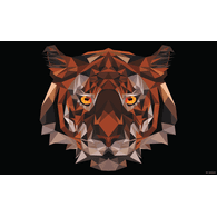 CSTY emblem