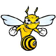 VOTU emblem