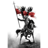 H-S_N emblem