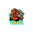 C4SH emblem