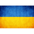1991- emblem