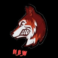 N_B_W emblem