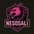 NSOSO emblem