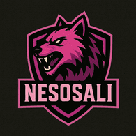 NSOSO emblem